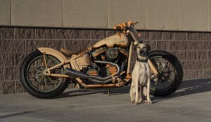 Harley Davidson motorcycle ready to ride in Montana