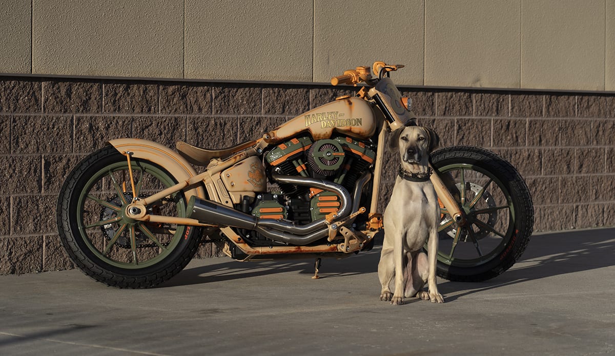 Yellowstone Harley-Davidson, Bozeman, Montana